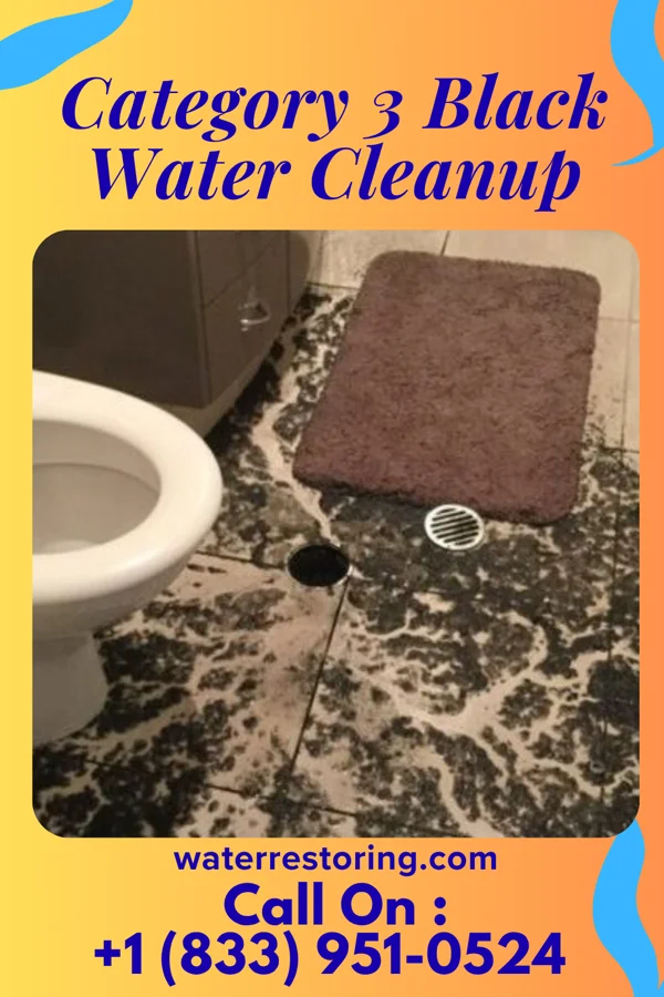 Category 3 Black Water Cleanup in Russell, KY