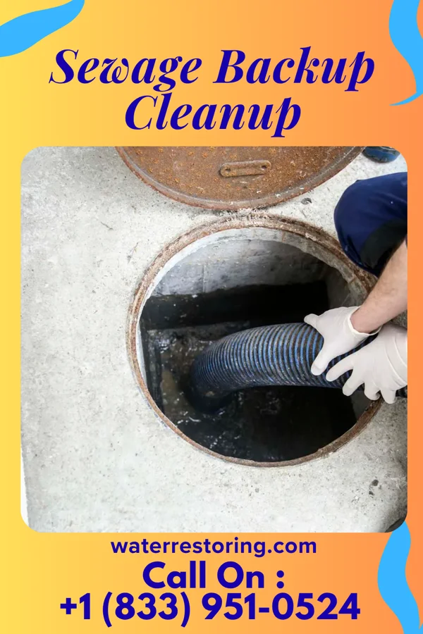 Sewage Backup Cleanup in Russell, KY