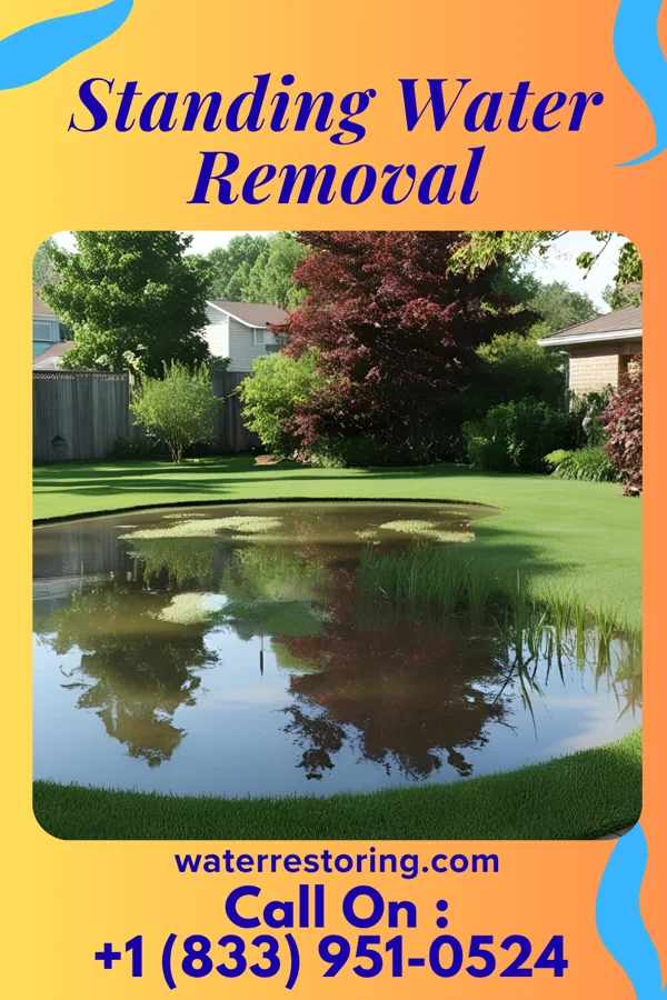 Standing Water Removal in Russell, KY